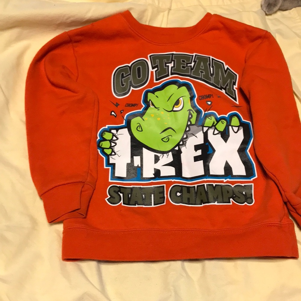 Boys sweatshirt